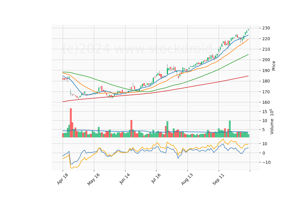 6 Month Candle Stick Diagram