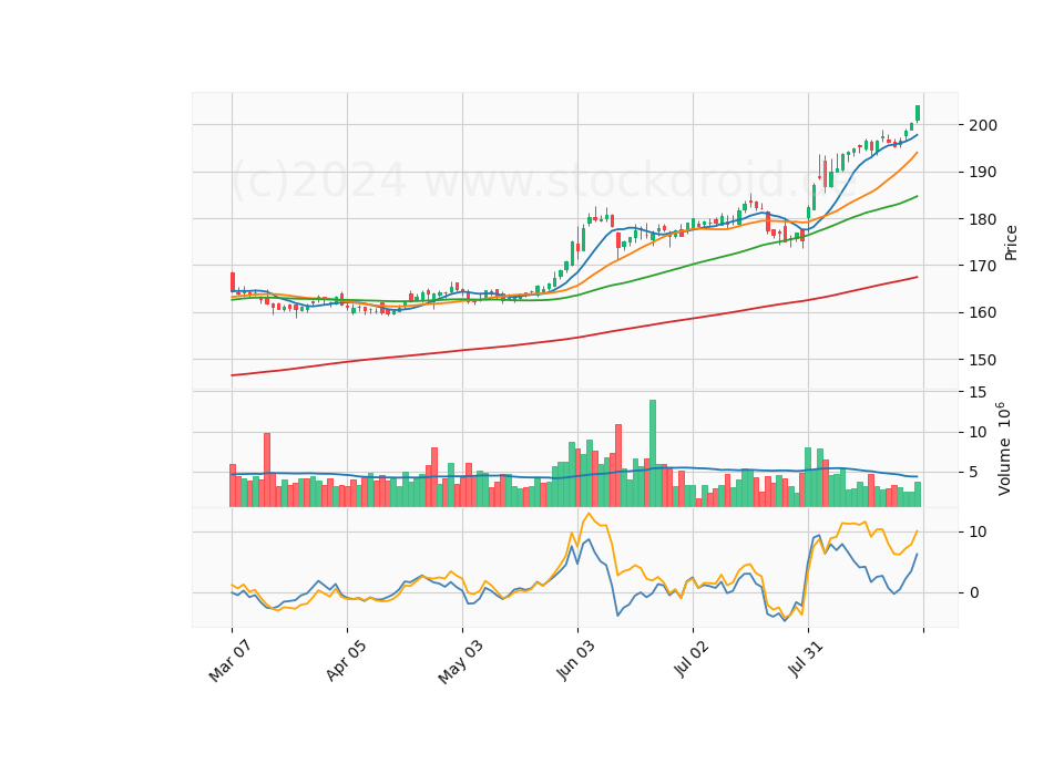6 Month Candle Stick Diagram